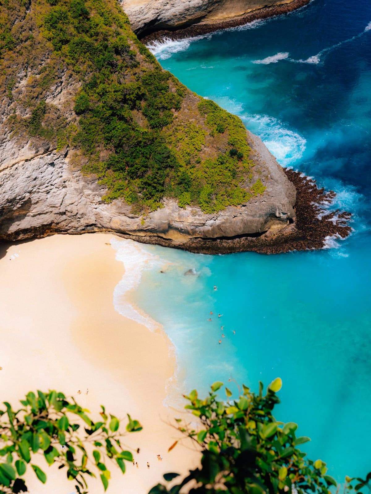 Plage de Bali bordée de palmiers